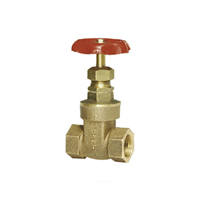 SANT GM GATE VALVE S/E
