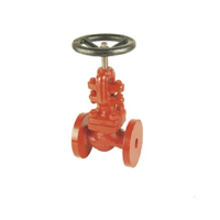 SANT CS GLOBE VALVE F/E