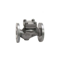 SANT CI HORIZONTAL NRV F/E IBR