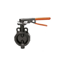 SANT CI BUTTERFLY VALVE SG IRON DISC