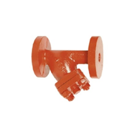 SANT CS ‘Y’ STRAINER F/E IBR