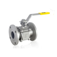 ACE SS-304/316 BALL VALVE F/E