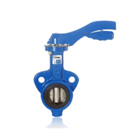 ACE CI BUTTERFLY VALVE