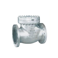 ACE CS SWING TYPE NRV F/E