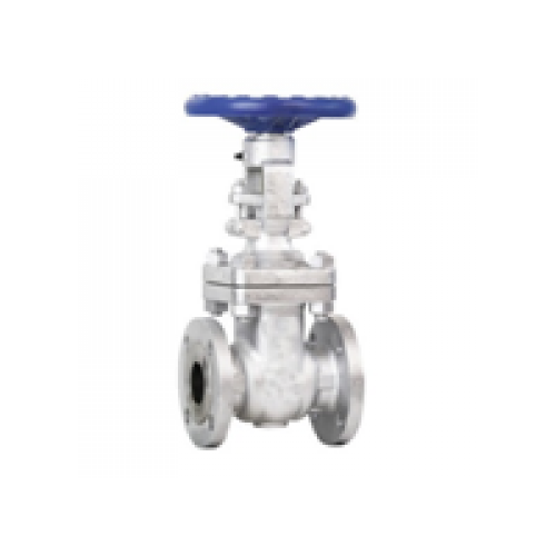 ACE CS GATE VALVE F/E
