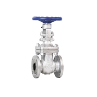 ACE CS GATE VALVE F/E