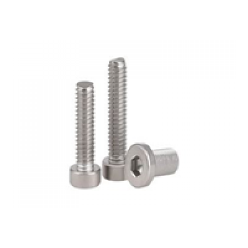 SS BOLTS